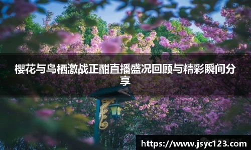 bsports官网入口