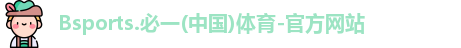 B体育官网